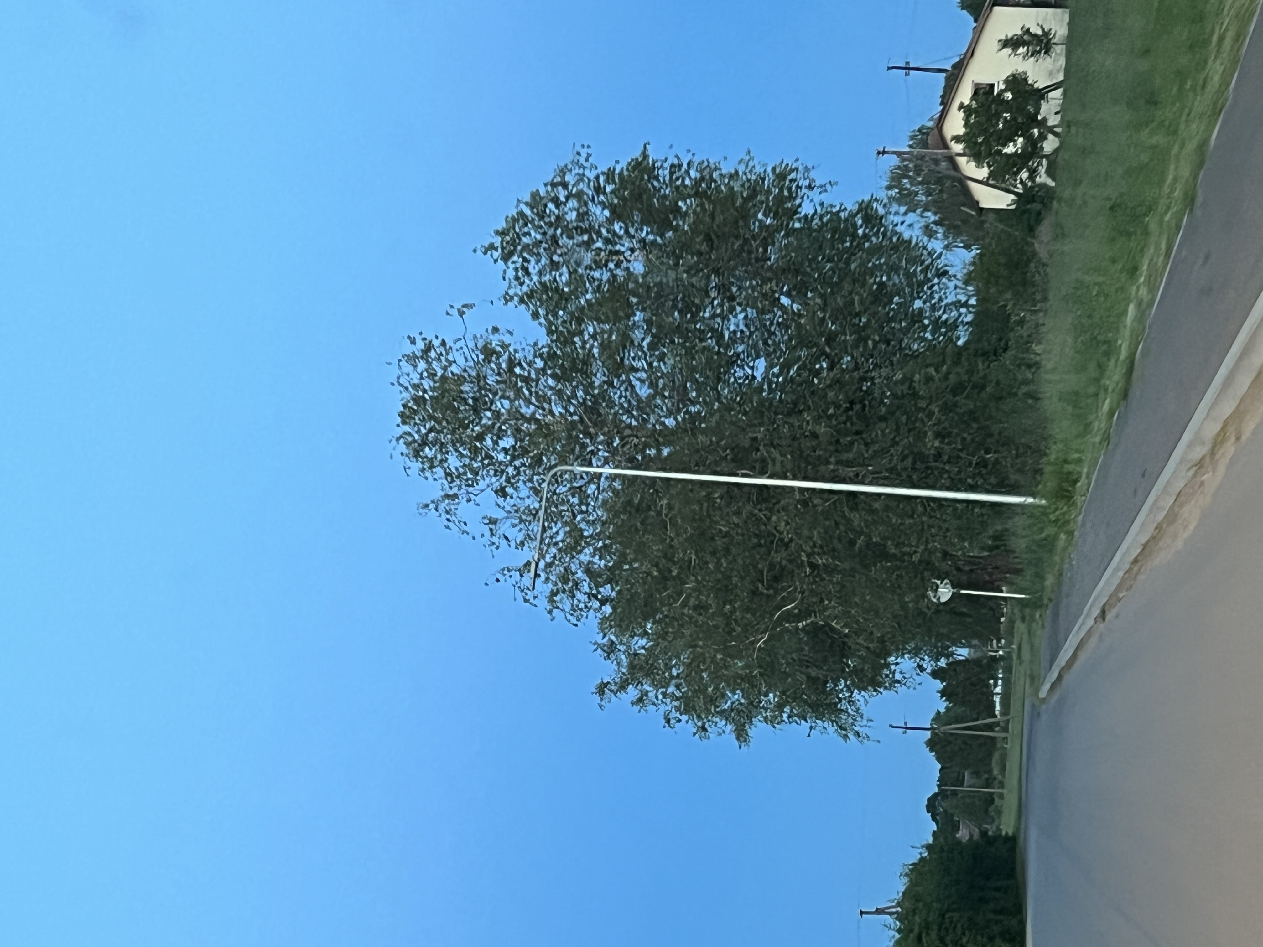 Šviestuvas, Kvėdarnoje
